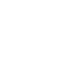 Leadership Team Icon